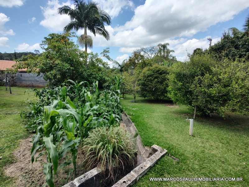 CHÁCARA ESPLENDOROSA EM BIRITIBA MIRIM