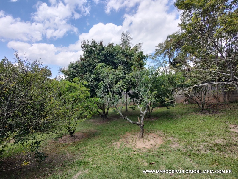 CHÁCARA ESPLENDOROSA EM BIRITIBA MIRIM