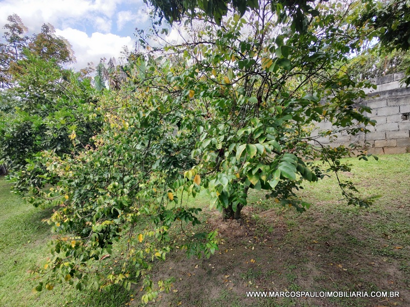 CHÁCARA ESPLENDOROSA EM BIRITIBA MIRIM