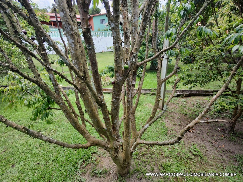 CHÁCARA ESPLENDOROSA EM BIRITIBA MIRIM