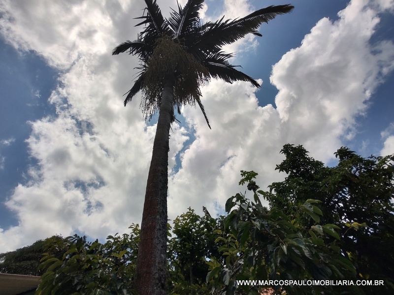 CHÁCARA ESPLENDOROSA EM BIRITIBA MIRIM