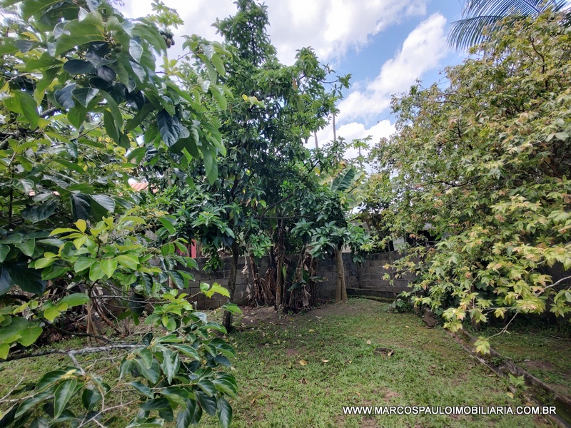 CHÁCARA ESPLENDOROSA EM BIRITIBA MIRIM