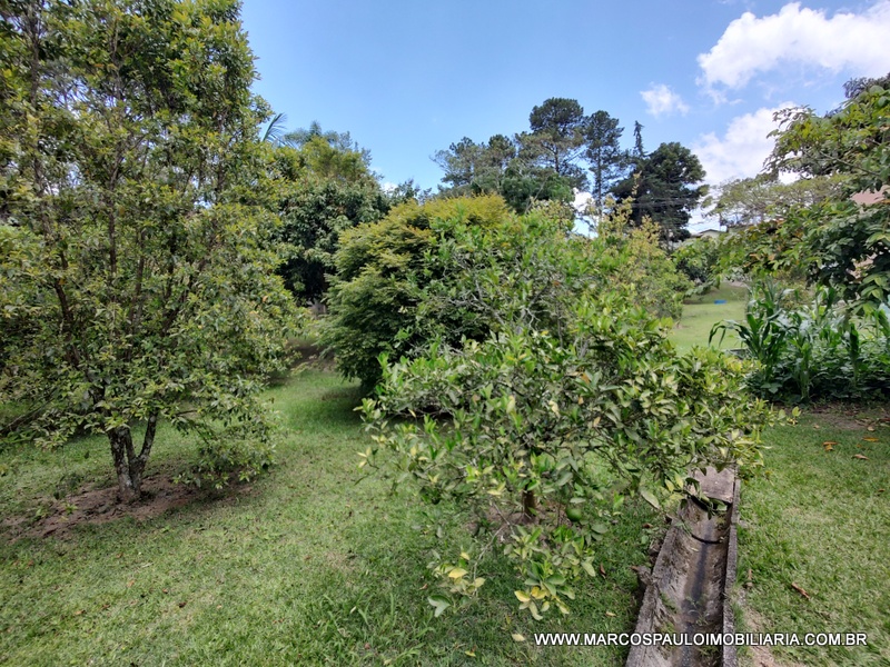 CHÁCARA ESPLENDOROSA EM BIRITIBA MIRIM