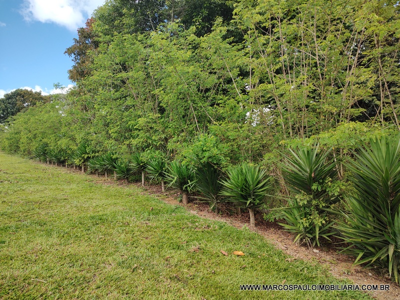 SÍTIO MAGNIFICO EM MOGI DAS CRUZES – SP