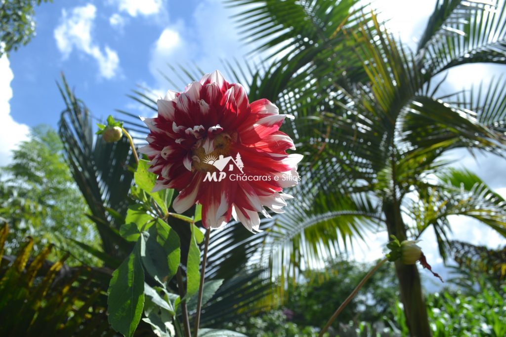 CHÁCARA PARA MORADIA – CONFIRA