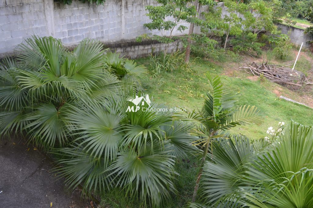 CHÁCARA PARA MORADIA – CONFIRA