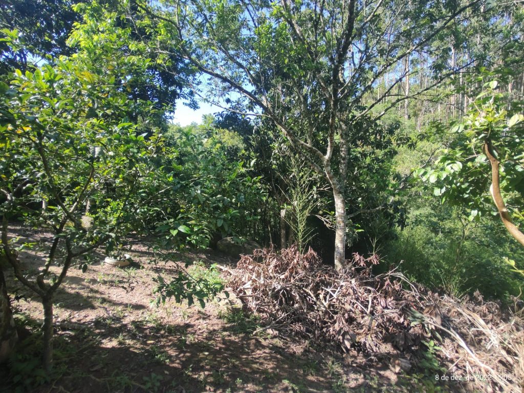 OPORTUNIDADE EM BIRITIBA MIRIM – SP CHÁCARA PARA DESCANSAR COM SUA FAMILIA