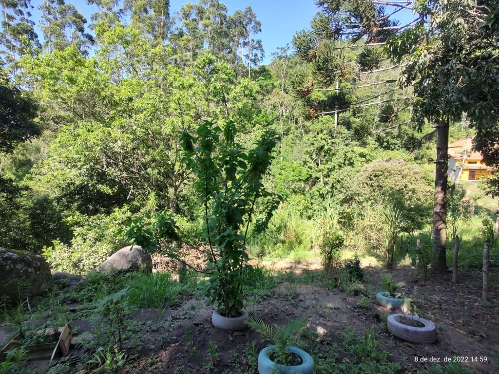 OPORTUNIDADE EM BIRITIBA MIRIM – SP CHÁCARA PARA DESCANSAR COM SUA FAMILIA