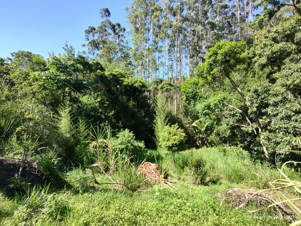 OPORTUNIDADE EM BIRITIBA MIRIM – SP CHÁCARA PARA DESCANSAR COM SUA FAMILIA