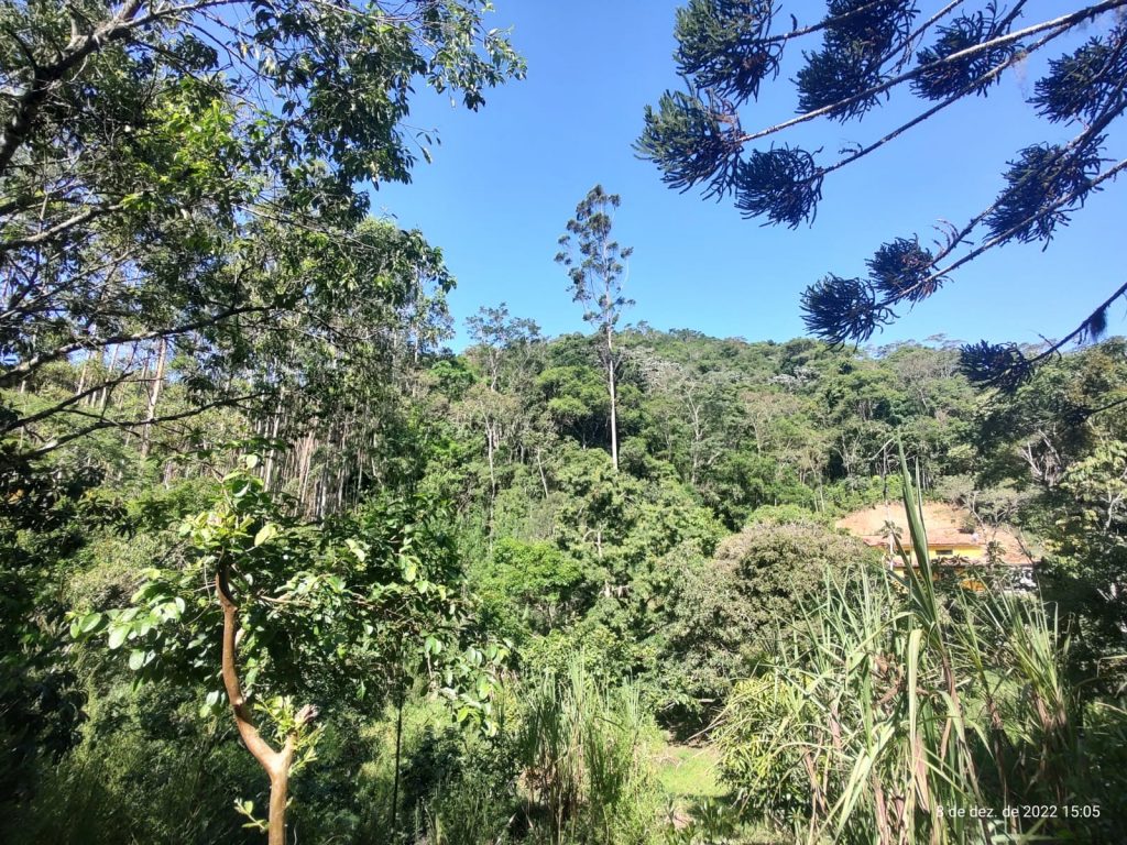 OPORTUNIDADE EM BIRITIBA MIRIM – SP CHÁCARA PARA DESCANSAR COM SUA FAMILIA