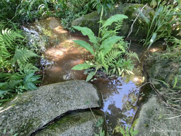 OPORTUNIDADE EM BIRITIBA MIRIM – SP CHÁCARA PARA DESCANSAR COM SUA FAMILIA