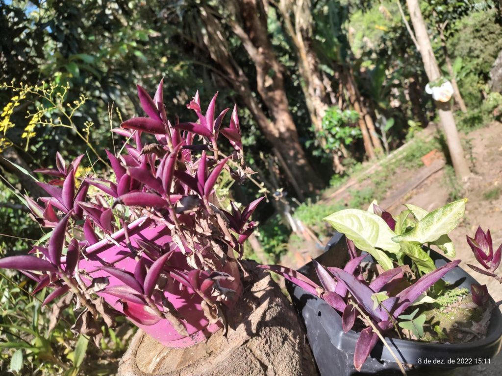 OPORTUNIDADE EM BIRITIBA MIRIM – SP CHÁCARA PARA DESCANSAR COM SUA FAMILIA