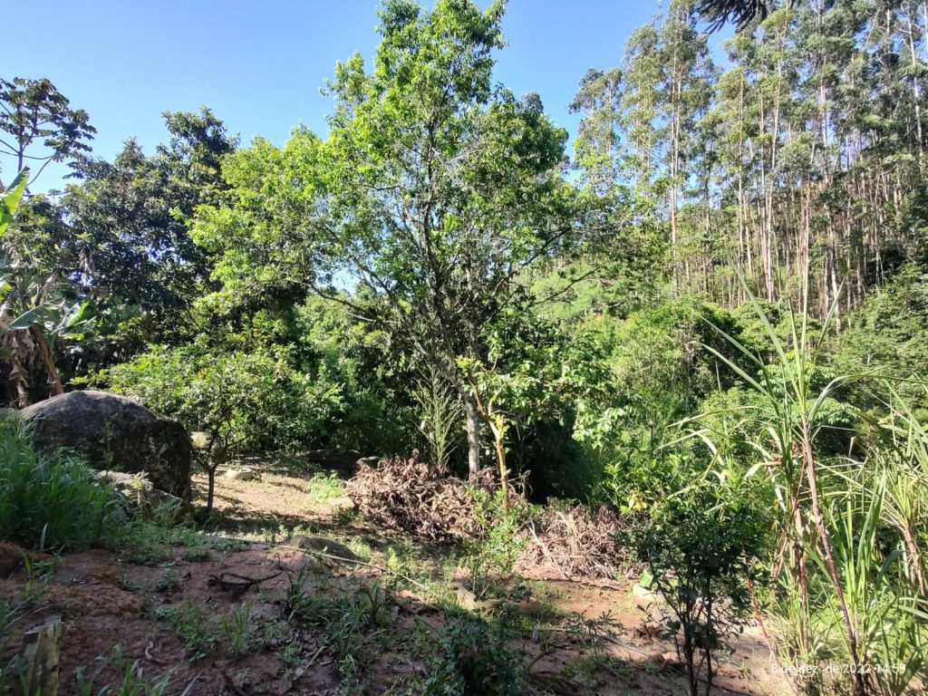 OPORTUNIDADE EM BIRITIBA MIRIM – SP CHÁCARA PARA DESCANSAR COM SUA FAMILIA