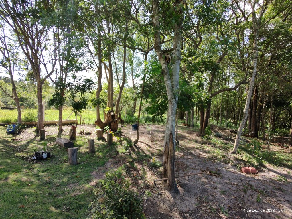 Chácara em Centro – Biritiba Mirim-SP