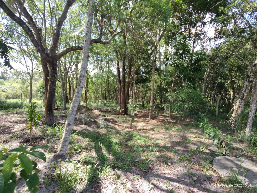 Chácara em Centro – Biritiba Mirim-SP