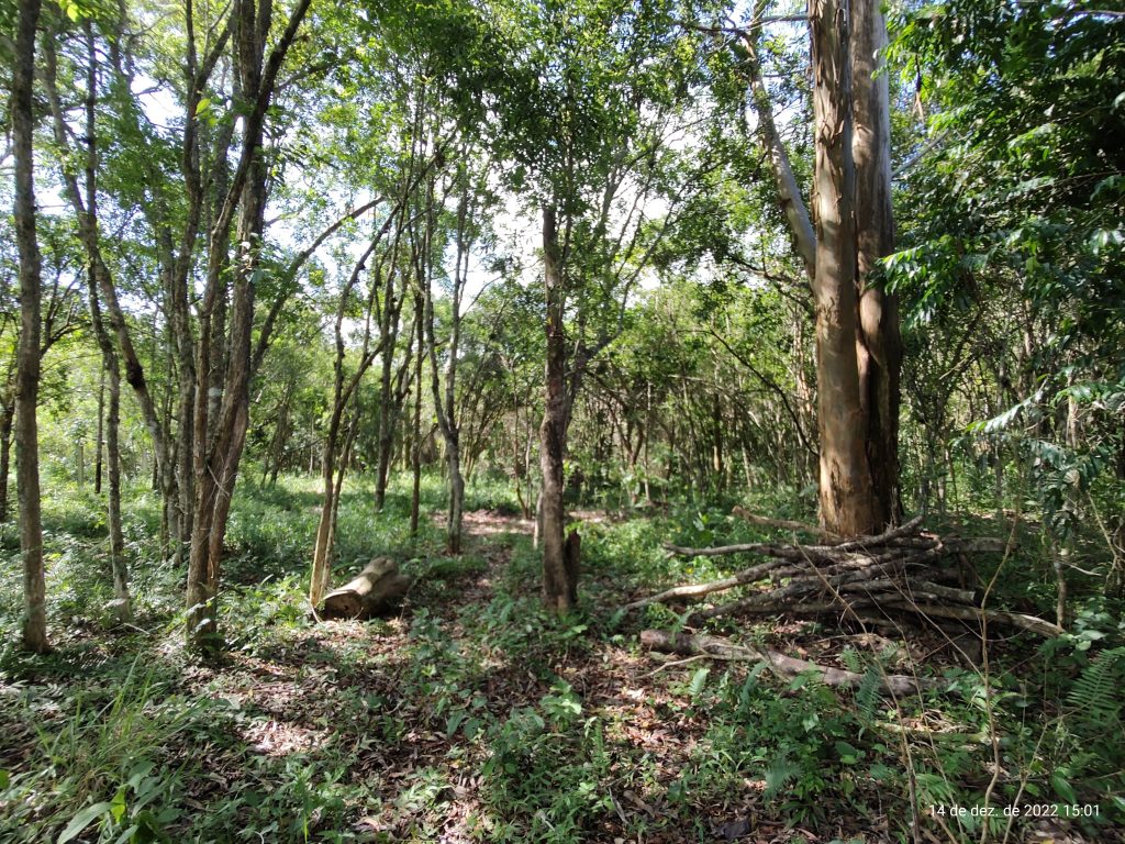 Chácara em Centro – Biritiba Mirim-SP