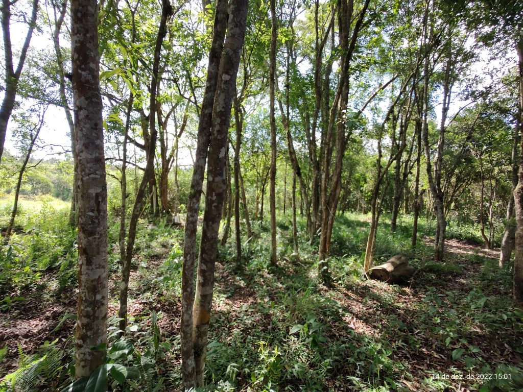 Chácara em Centro – Biritiba Mirim-SP