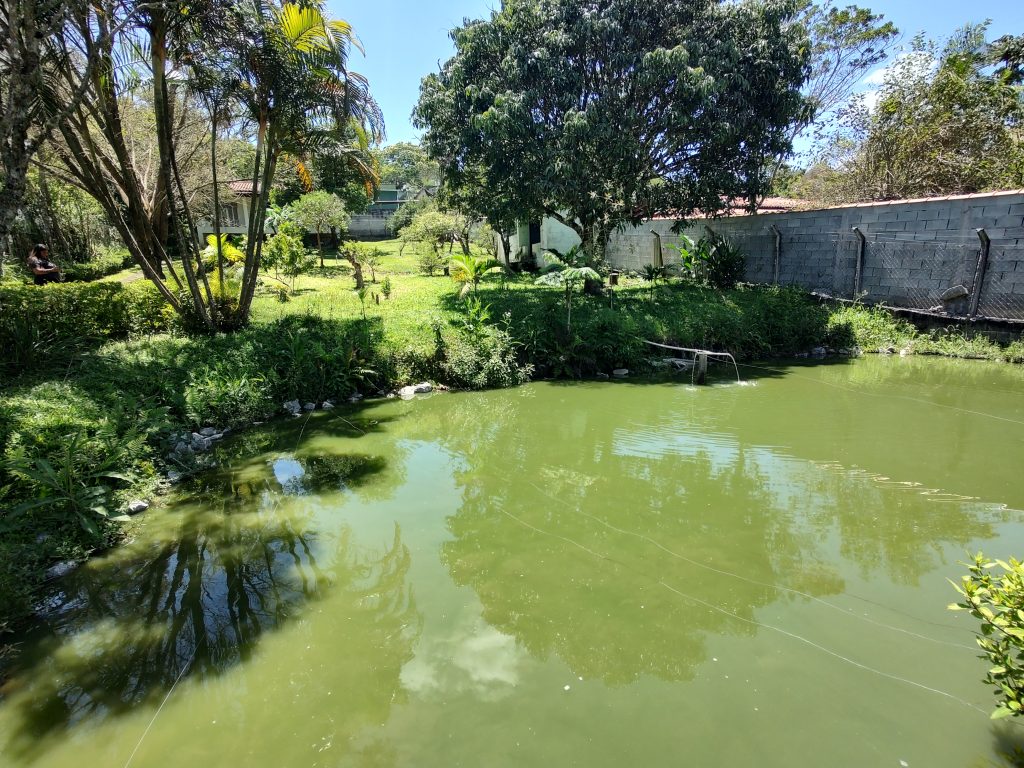 BELA CHÁCARA C/ DOCUMENTO OK EM BIRITIBA MIRIM