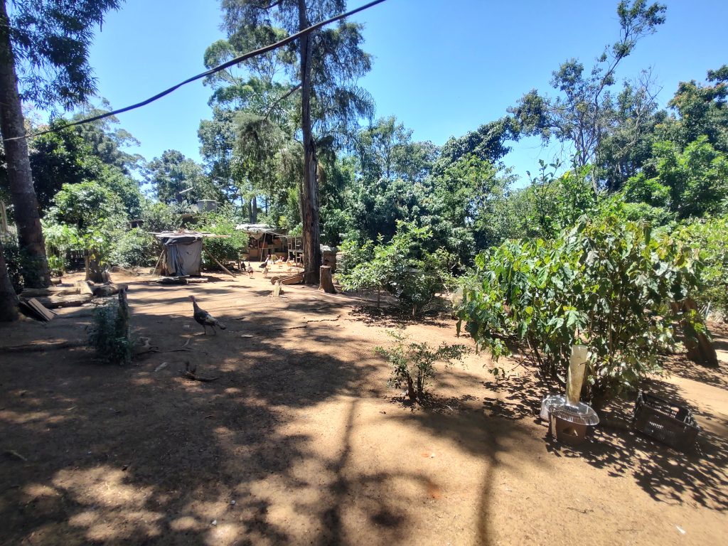 LINDA CHÁCARA EM BIRITIBA MIRIM PROXIMO DO ASFALTO!!!!