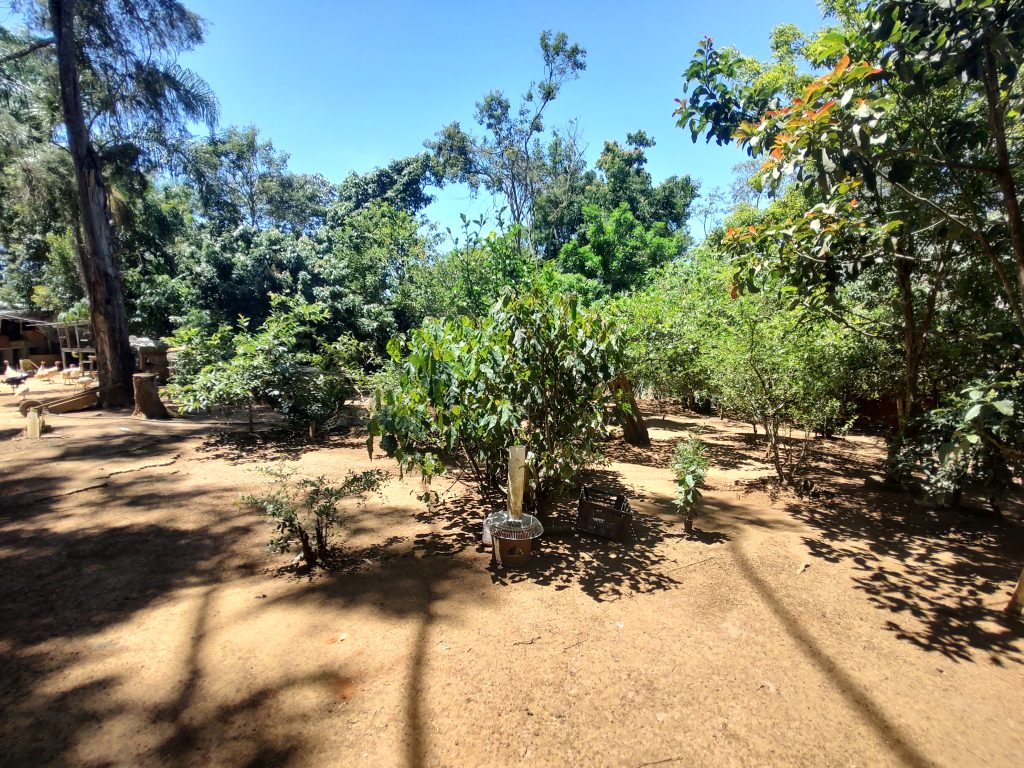 LINDA CHÁCARA EM BIRITIBA MIRIM PROXIMO DO ASFALTO!!!!