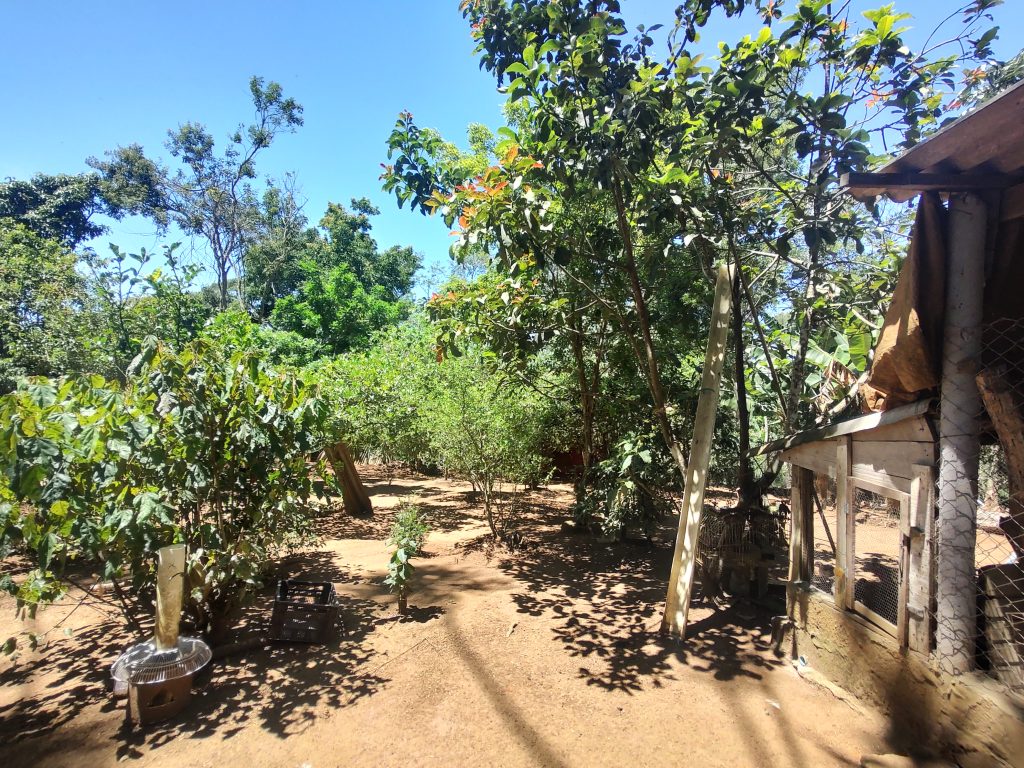 LINDA CHÁCARA EM BIRITIBA MIRIM PROXIMO DO ASFALTO!!!!