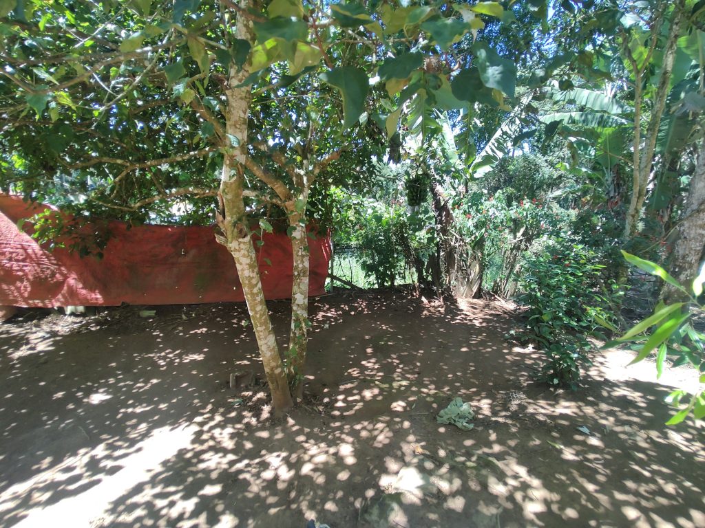 LINDA CHÁCARA EM BIRITIBA MIRIM PROXIMO DO ASFALTO!!!!