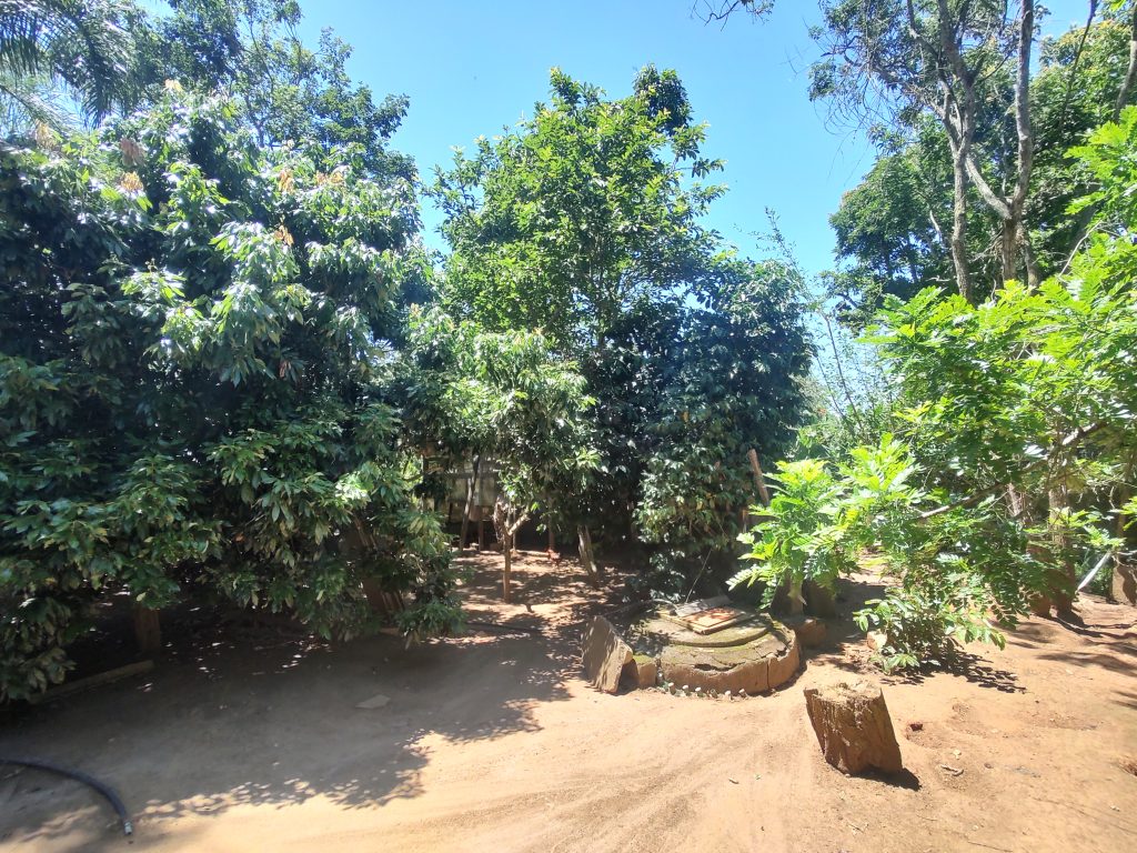 LINDA CHÁCARA EM BIRITIBA MIRIM PROXIMO DO ASFALTO!!!!