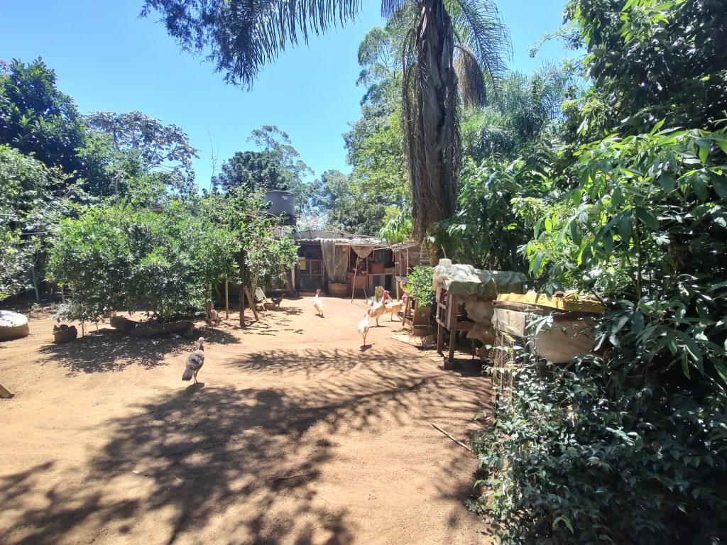 LINDA CHÁCARA EM BIRITIBA MIRIM PROXIMO DO ASFALTO!!!!