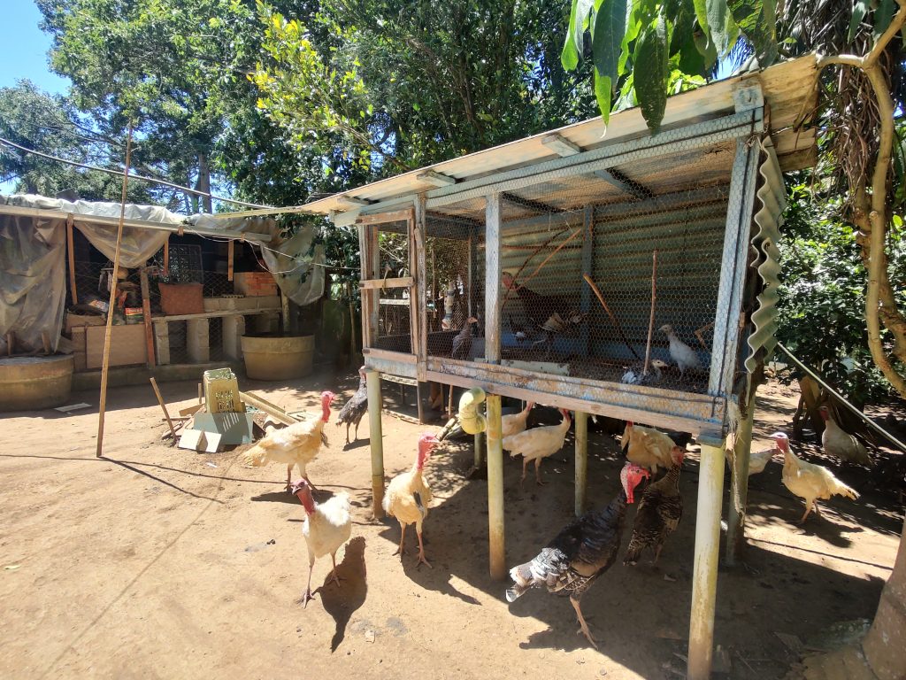 LINDA CHÁCARA EM BIRITIBA MIRIM PROXIMO DO ASFALTO!!!!