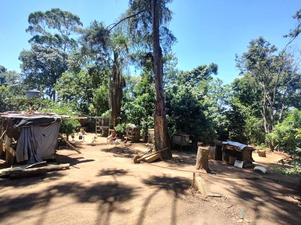 LINDA CHÁCARA EM BIRITIBA MIRIM PROXIMO DO ASFALTO!!!!