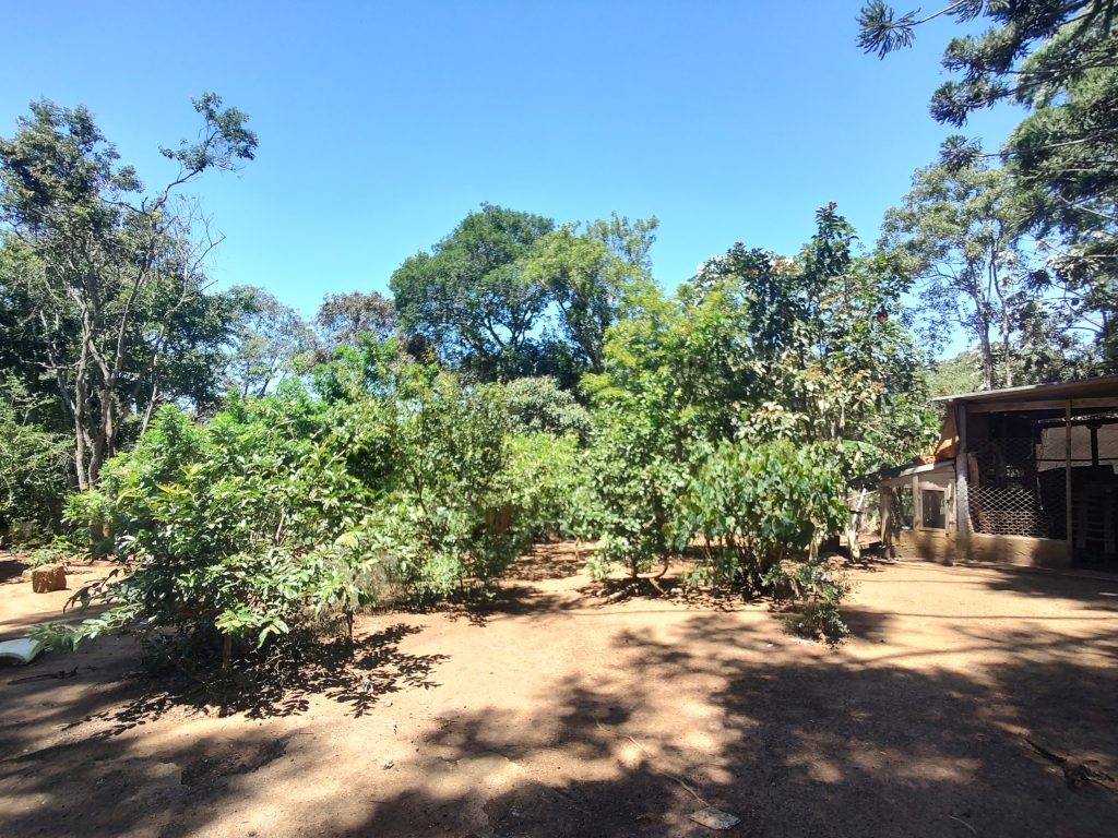 LINDA CHÁCARA EM BIRITIBA MIRIM PROXIMO DO ASFALTO!!!!