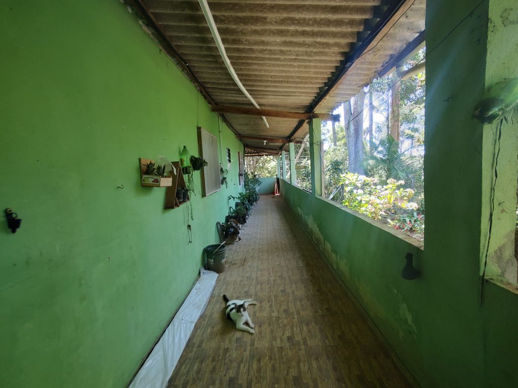 LINDA CHÁCARA EM BIRITIBA MIRIM PROXIMO DO ASFALTO!!!!