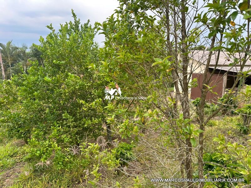 LINDA CHÁCARA PARA QUEM BUSCA TRANQUILIDADE!