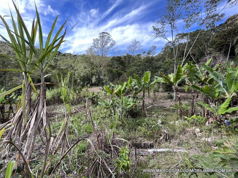 LINDO SÍTIO A MEIO A NATUREZA!!