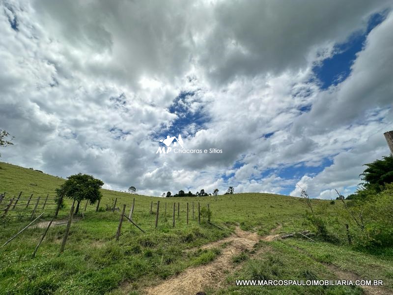 21 ALQUEIRES DISPONÍVEL PARA VENDA