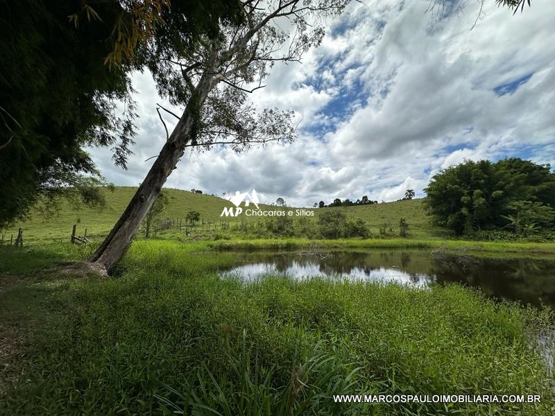 21 ALQUEIRES DISPONÍVEL PARA VENDA