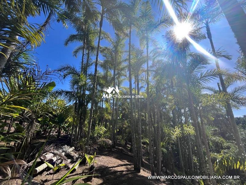 CHÁCARA ESPETACULAR PRÓXIMA A CIDADE