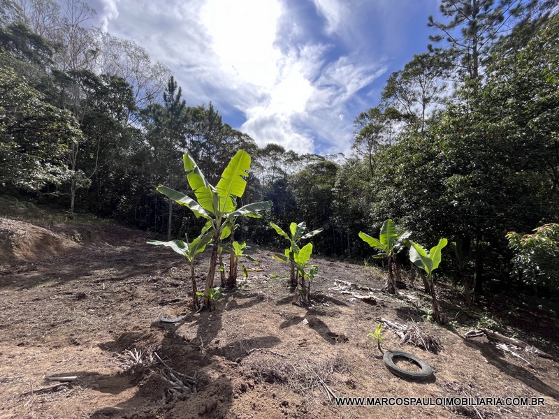 LINDO SÍTIO A MEIO A NATUREZA!!