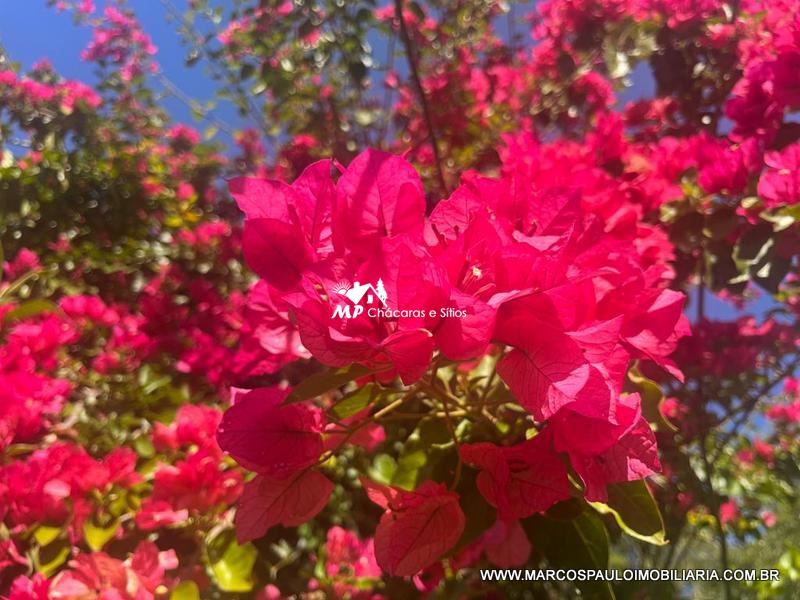 CHÁCARA ESPETACULAR PRÓXIMA A CIDADE