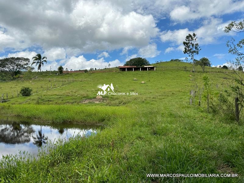 21 ALQUEIRES DISPONÍVEL PARA VENDA