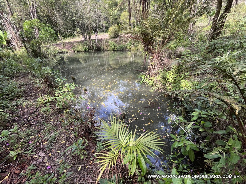 LINDO SÍTIO A MEIO A NATUREZA!!