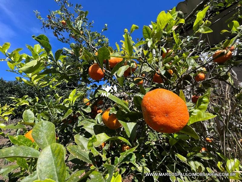 CHÁCARA ESPETACULAR PRÓXIMA A CIDADE