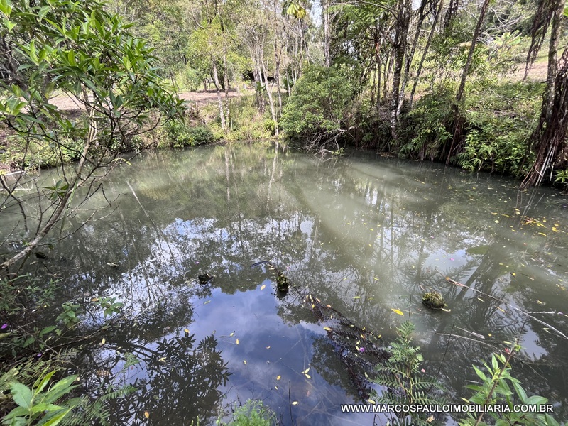 LINDO SÍTIO A MEIO A NATUREZA!!