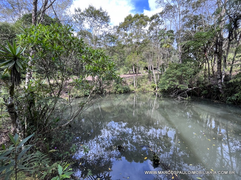 LINDO SÍTIO A MEIO A NATUREZA!!