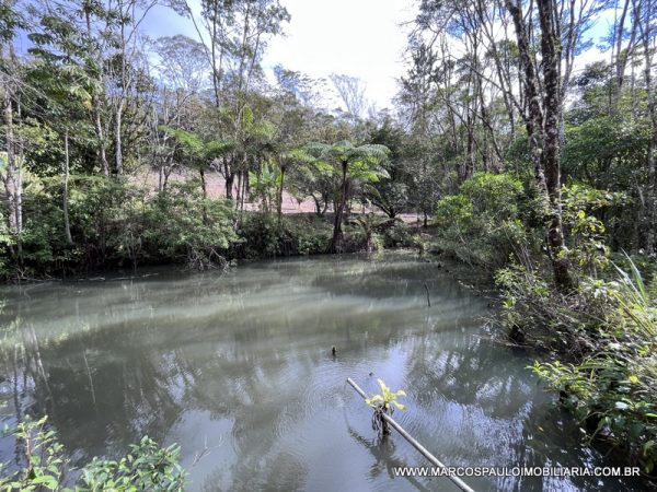 LINDO SÍTIO A MEIO A NATUREZA!!
