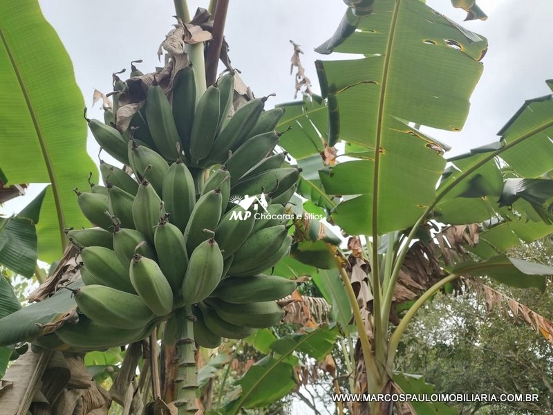 CHÁCARA MARAVILHOSA AO LADO DA CIDADE