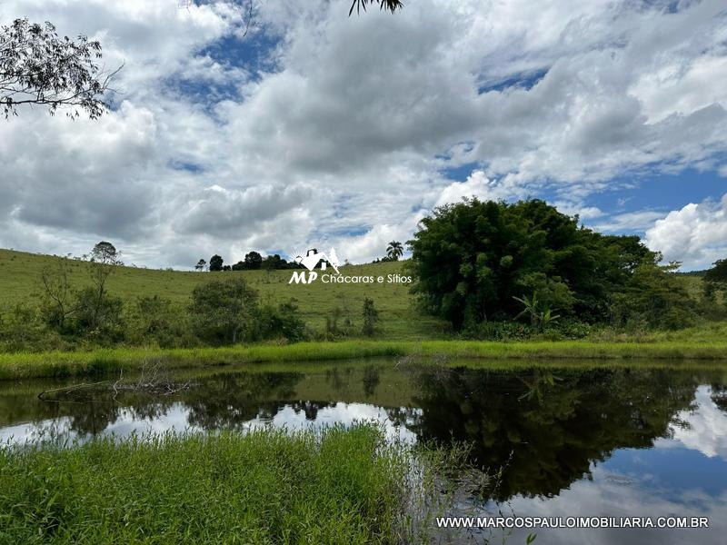 21 ALQUEIRES DISPONÍVEL PARA VENDA