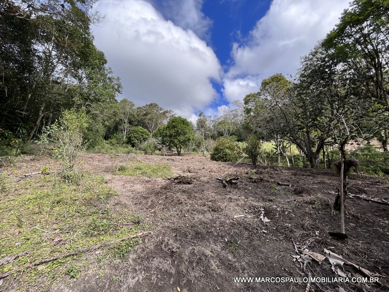 LINDO SÍTIO A MEIO A NATUREZA!!