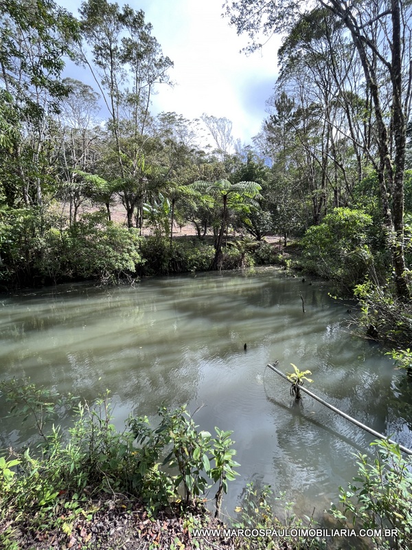 LINDO SÍTIO A MEIO A NATUREZA!!
