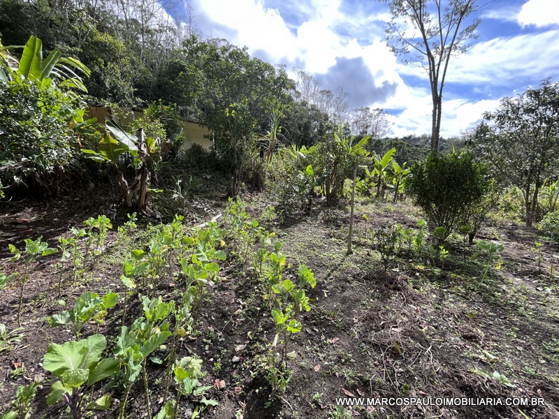 LINDO SÍTIO A MEIO A NATUREZA!!
